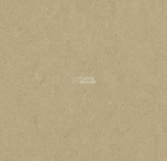 Forbo Marmoleum Marbled Fresco 3890-389035 oat фото 1 | FLOORDEALER